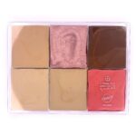 MAQPRO 6 spalvų kreminių korektorių paletė Fard Creme LT302