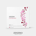 LeanShake portion pack - valgio pakaitalas