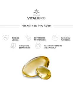 Maketai_2024_D3-PRO-4000-02