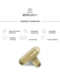 Maketai_2024_Ginkgo-Complex-02-1