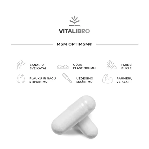Gryna MSM forma OptiMSM® - Image 2