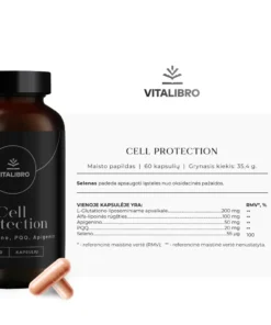 Maketai_Cell-protection-03-1-1024×1024