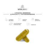 Liposominio berberino ir dihidroberberino kompleksas medžiagų apykaitai